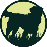 S_logo
